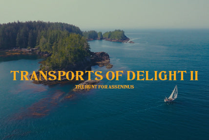 Transport of Delight II - Mathea Olin’s Latest Search Adventure