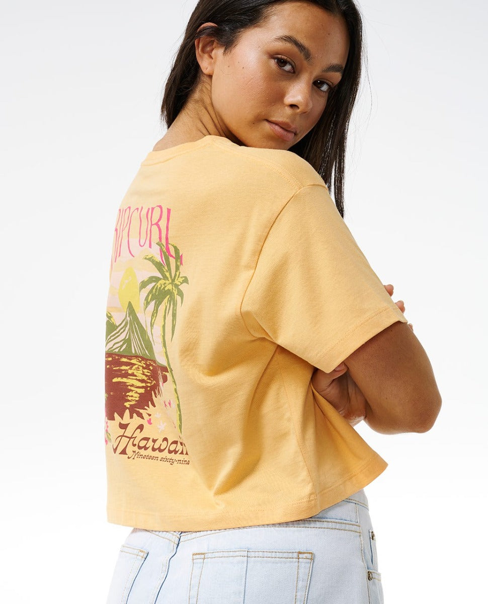 #color_hawaii orange